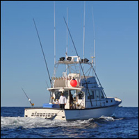 Hindsight Sportfishing